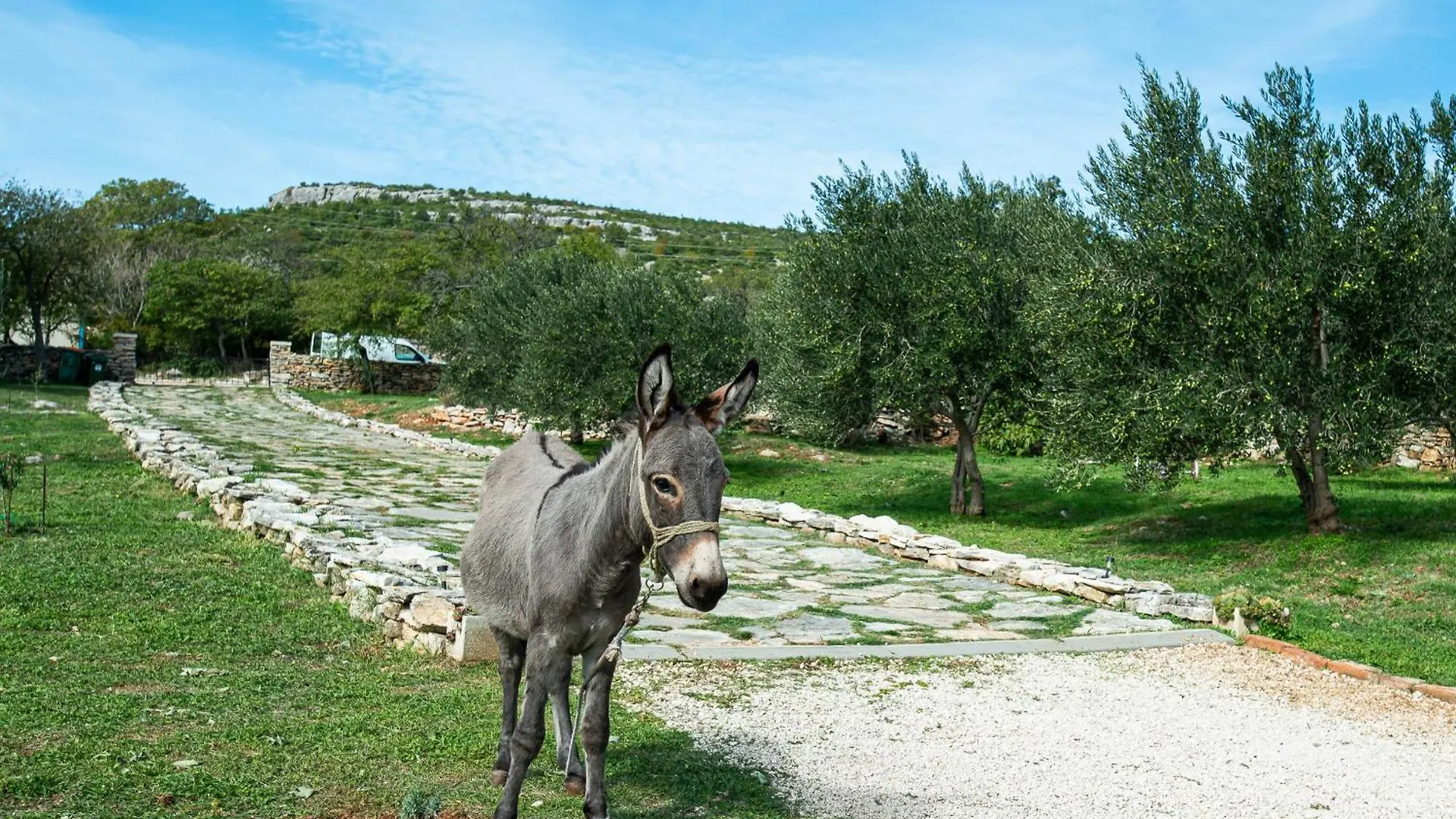 Dalmatian Country House Irena Bruska 0*,  Croatia