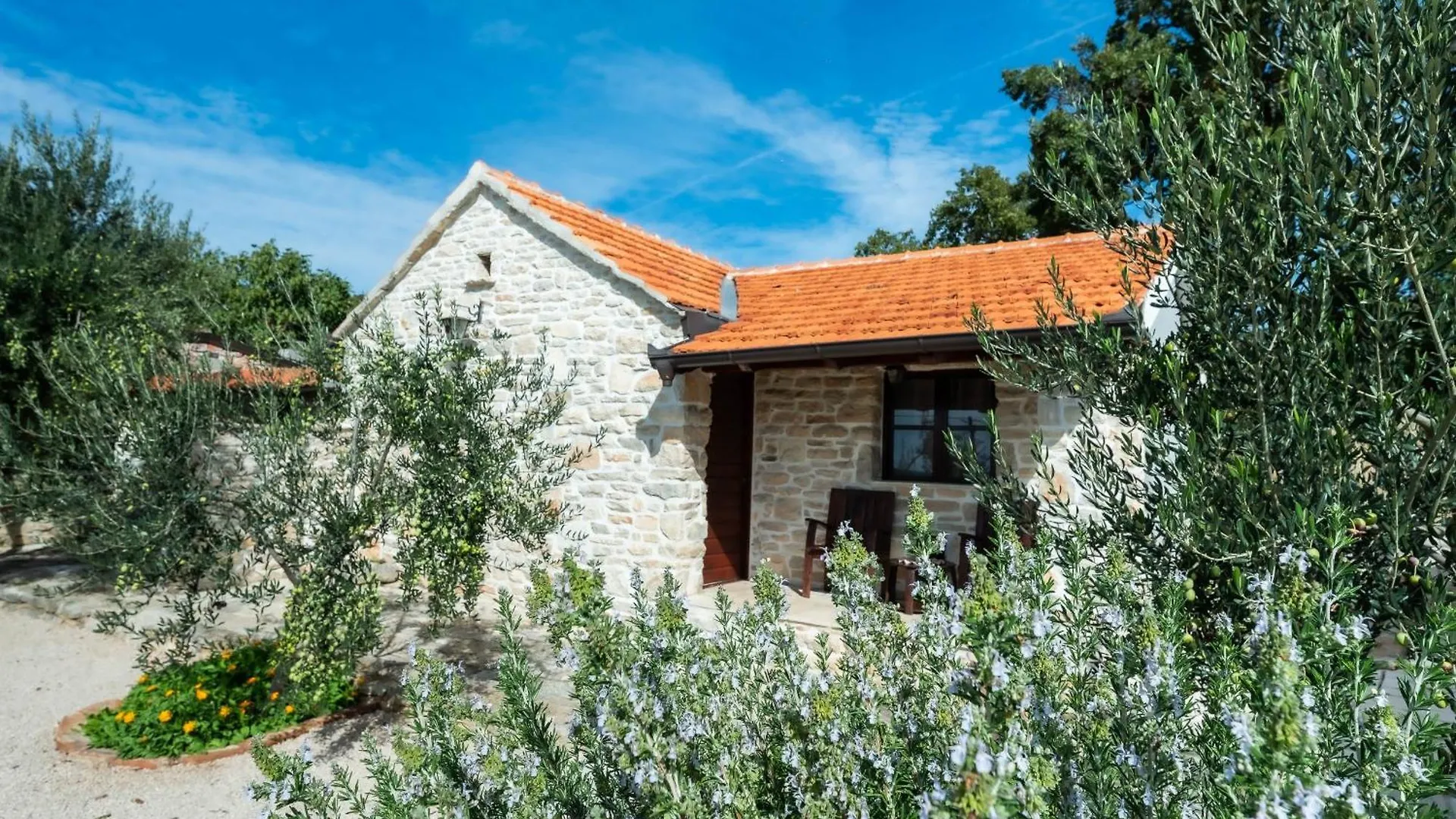Dalmatian Country House Irena Bruska Holiday home