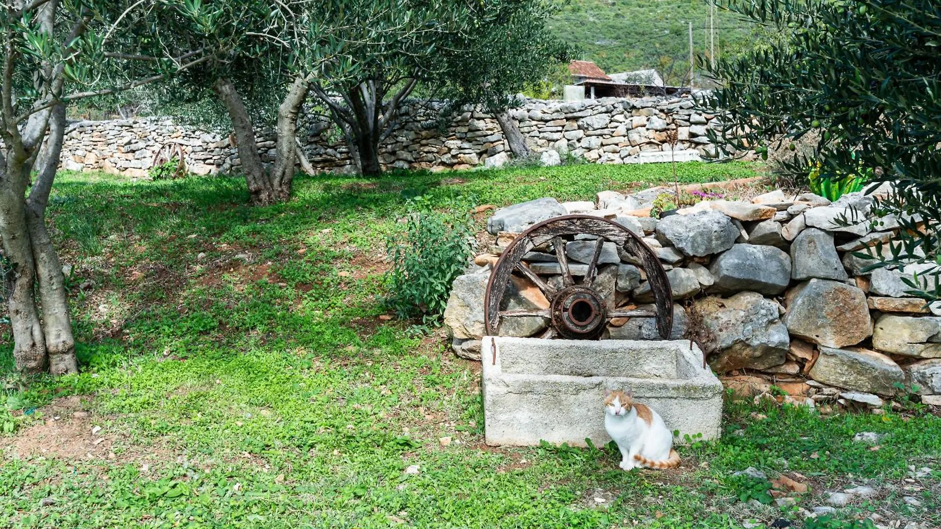 Dalmatian Country House Irena Bruska Holiday home